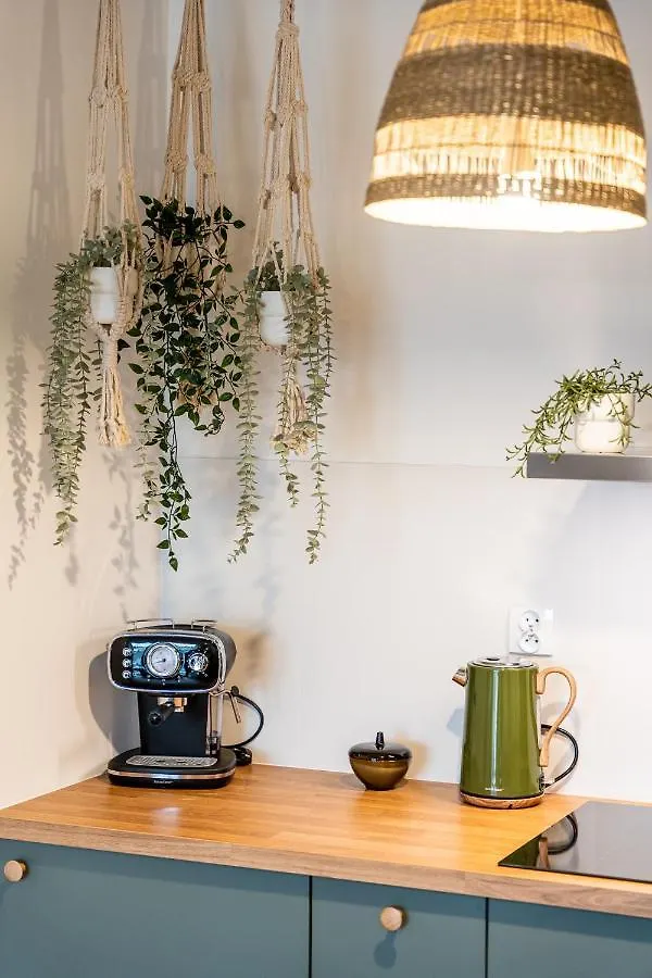 Апартаменты Green Boho Sienkiewicza Колобжег