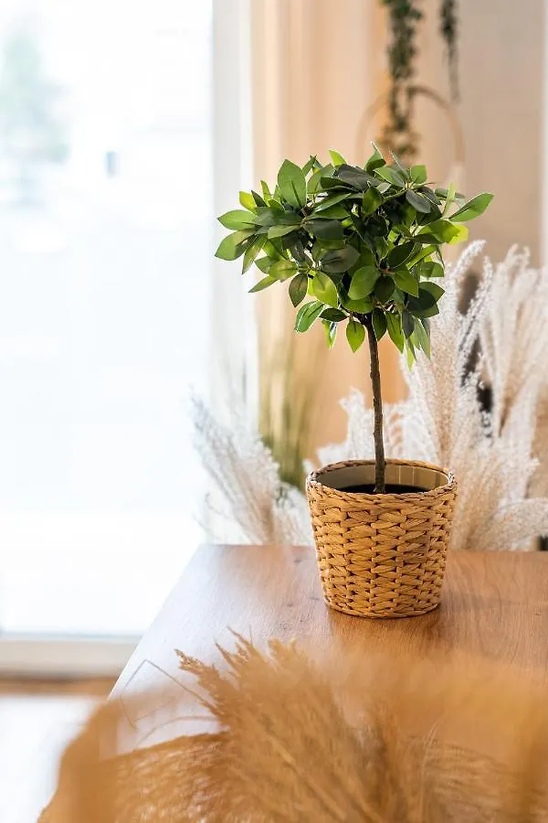 Апартаменты Green Boho Sienkiewicza Колобжег